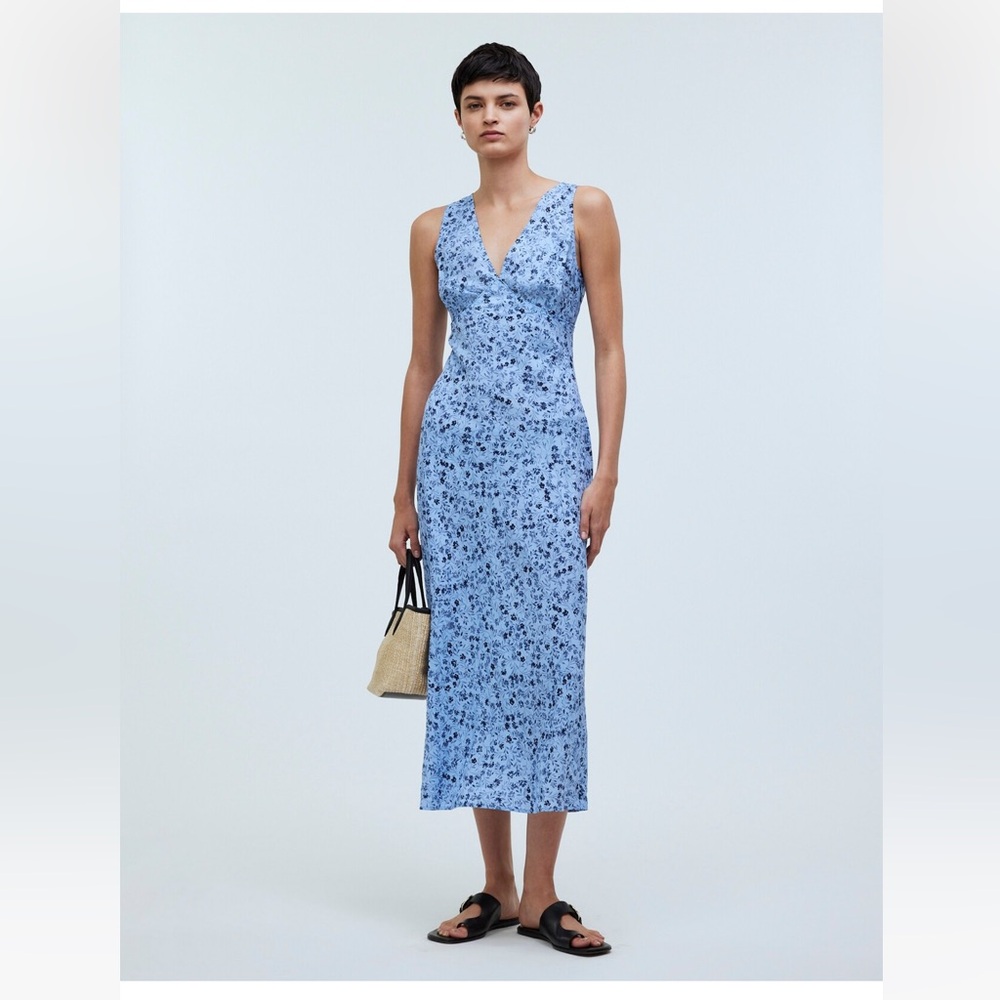 Madewell Ariana Dress (Size 6) in Blue Flower